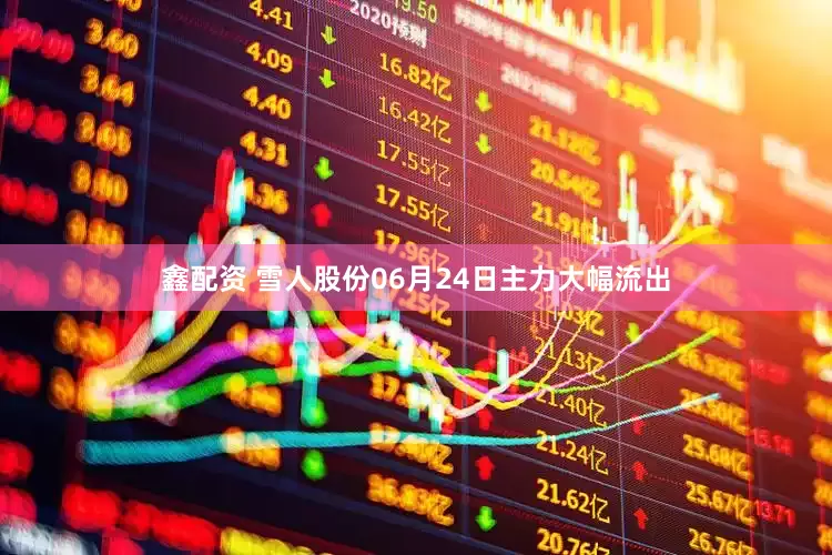 鑫配资 雪人股份06月24日主力大幅流出