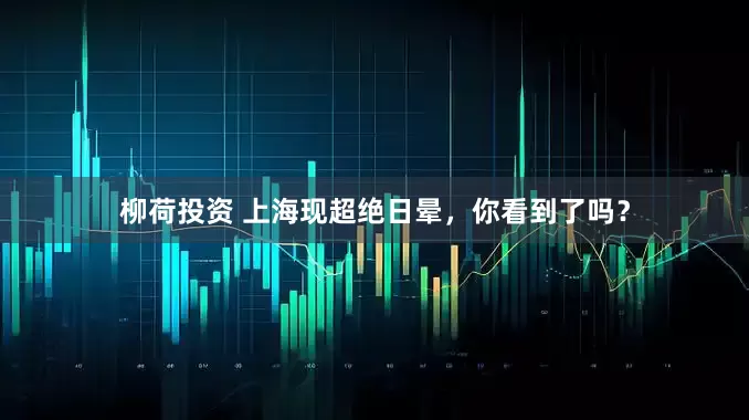 柳荷投资 上海现超绝日晕，你看到了吗？