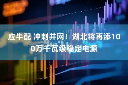 应牛配 冲刺并网！湖北将再添100万千瓦级稳定电源