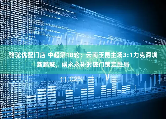 骆驼优配门店 中超第18轮：云南玉昆主场3:1力克深圳新鹏城，侯永永补时破门锁定胜局