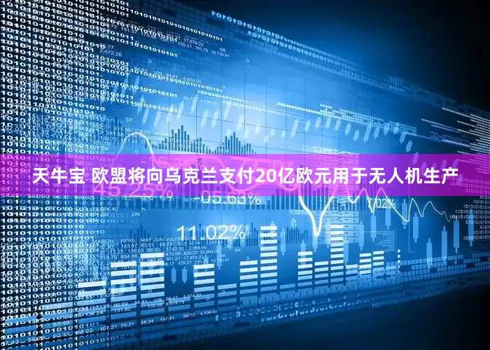 天牛宝 欧盟将向乌克兰支付20亿欧元用于无人机生产
