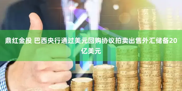 鼎红金投 巴西央行通过美元回购协议拍卖出售外汇储备20亿美元
